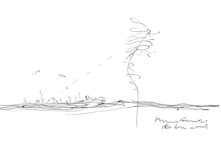 Sky Migratory Bird Observatory Residence